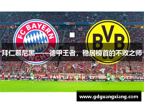 拜仁慕尼黑——德甲王者，稳居榜首的不败之师
